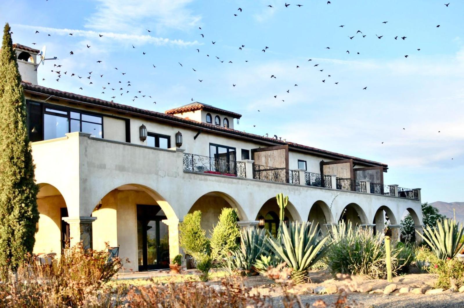 La Villa Del Valle Valle de Guadalupe Extérieur photo